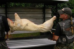 2008_MFH-Gallierfest_003