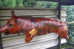 2008_MFH-Gallierfest_009