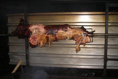 2008_MFH-Gallierfest_035