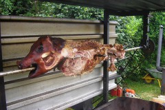 2008_MFH-Gallierfest_042