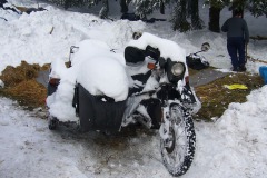 20100131_MFH_54.Elefantentreffen_015