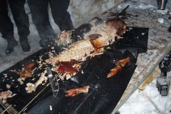 20100131_MFH_54.Elefantentreffen_028