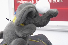 20110125_55.Elefantentreffen_003